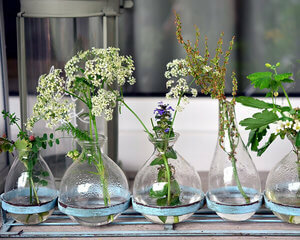 Combinatie Voordeelsets - Etherische, Essentiële Olie Sets