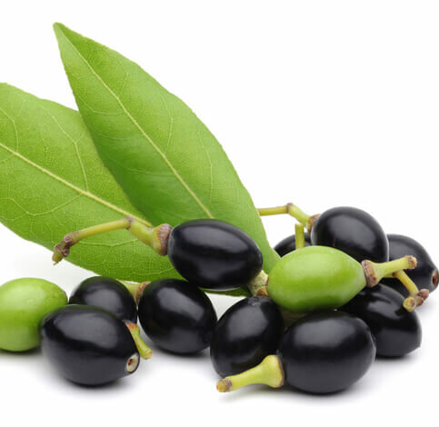 Laurierbesolie - Huid