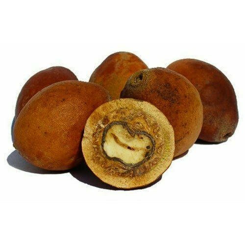 Mongongo Olie - Huid en Haar