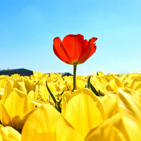 Speciale Producten of bestellingen