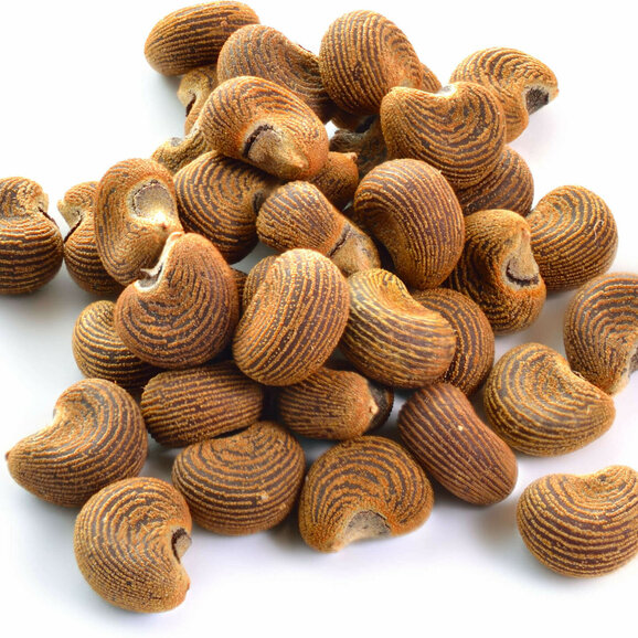 Musk Olie - Ambrette, Muskuszaadolie