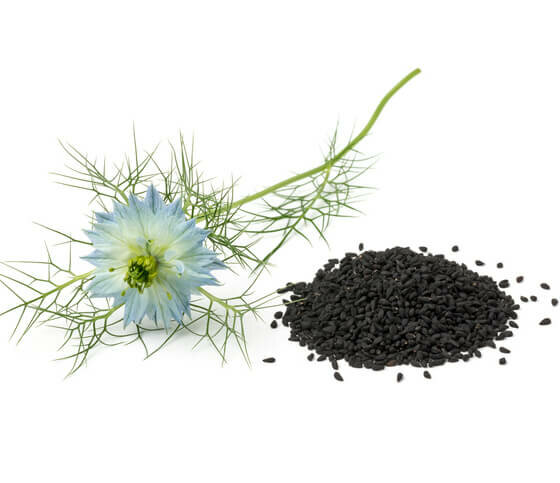 Nigella Sativa, Zwartzaadolie - Gezicht en Huid