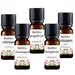 Citrus Olie 5x10ml Etherische Olie Set - Bergamotolie 10ml, Citroenolie 10ml, Grapefruitolie 10ml, Limoenolie 10ml en Sinaasappelolie 10ml - Essentiële Olie Set
