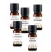Winter Warmte Olie 5x10ml Etherische Olie Set - Kaneelolie 10ml, Jeneverbesolie 10ml, Kruidnagelolie 10ml, Sinaasappelolie 10ml en Gemberolie 10ml - Essentiële Olie Set