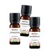 Haren Olie 3x10ml Etherische Olie Set - Sandelhoutolie 10ml, Rozemarijnolie 10ml en Ylang Ylang Olie 10ml - Essentiële Olie Set