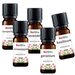 Ontspannende Olie 5x10ml Etherische Olie Set - Lavendelolie 10ml, Geraniumolie 10ml, Kamperfoelie olie 10ml, Sinaasappelolie 10ml en Basilicumolie 10ml - Essentiële Olie Set