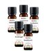 Kruiden Olie 5x10ml Etherische Olie Set - Nootmuskaatolie 10ml, Kruidnagelolie 10ml, Kurkuma Olie 10ml, Basilicumolie 10ml en Kaneelolie 10ml - Essentiële Olie Set