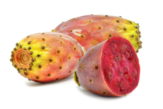 cactusvijg olie prickly pear 20ml