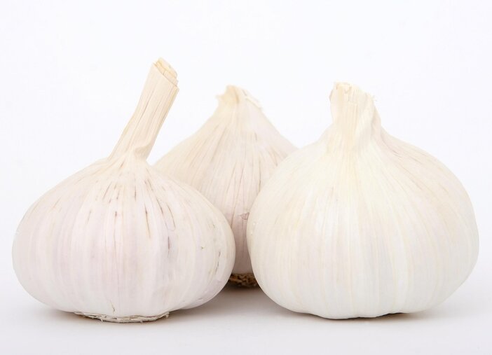knoflook