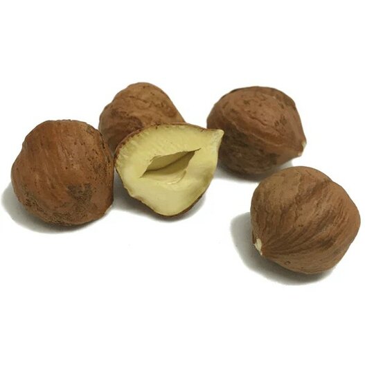 karanja, Pongamia zaden