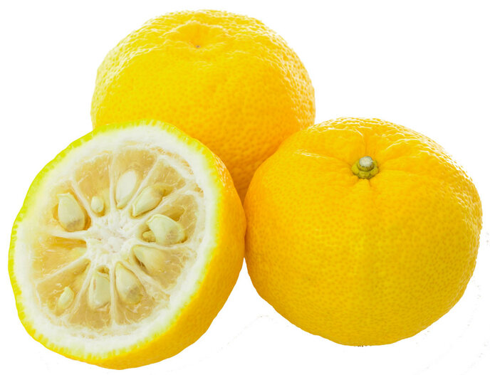yuzu vruchten
