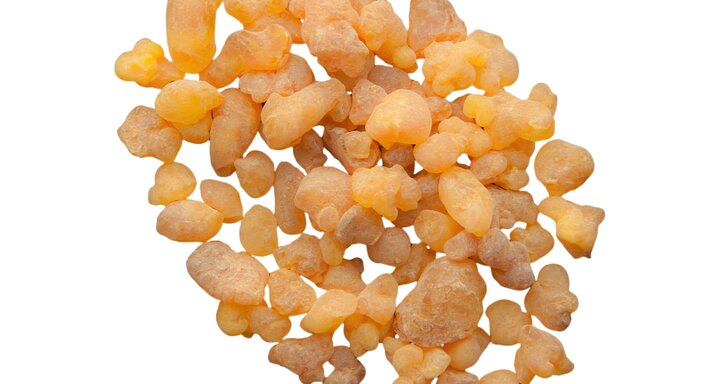 boswellia hars