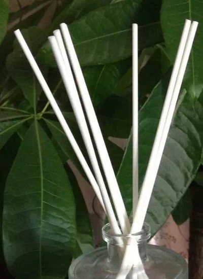 fiber stick diffuser wit