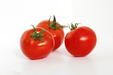 tomatenzaad olie puur koudgeperst