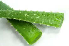 aloe vera blad 