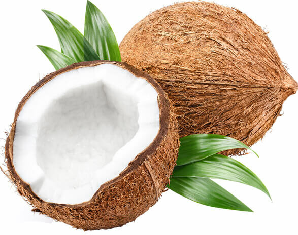 Dank u voor uw hulp blijven Traditioneel Onbewerkte Kokosolie PUUR, natuurlijke verzorging voor uw huid en haren. -  BeriVita.com - Natuurlijk & Puur