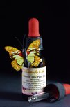 Amandelolie Puur 20ml Pipetfles - Sweet Almond Oil Amandelolie Puur 20ml Pipetfles - Sweet Almond Oil