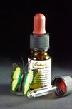 Bergamot Olie 100% 10ml Pipetfles - Etherische Olie Butterfly Bergamot Olie 100% 10ml Pipetfles - Etherische Olie Butterfly