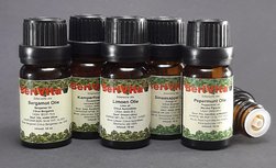 Zomer Olie 5x10ml Etherische Olie Set - Bergamotolie 10ml, Kamperfoelie olie 10ml, Pepermuntolie 10ml, Limoenolie 10ml en Sinaasappelolie 10ml - Essentiële Olie Set Zomer Olie 5x10ml Etherische Olie Set - Bergamotolie 10ml, Kamperfoelie olie 10ml, Pepermuntolie 10ml, Limoenolie 10ml en Sinaasappelolie 10ml - Essentiële Olie Set