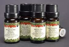 Meditatie Olie 4x10ml Etherische Olie Set - Wierookolie 10ml, Ylang Ylang Olie 10ml, Mirre Olie 10ml en Bergamotolie 10ml - Essentiële Olie Set Meditatie Olie 4x10ml Etherische Olie Set - Wierookolie 10ml, Ylang Ylang Olie 10ml, Mirre Olie 10ml en Bergamotolie 10ml - Essentiële Olie Set