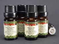 Slapen Olie 4x10ml Etherische Olie Set - Lavendelolie 10ml, Neroli Olie 10ml, Wierookolie 10ml en Ylang Ylang Olie 10ml - Essentiële Olie Set Slapen Olie 4x10ml Etherische Olie Set - Lavendelolie 10ml, Neroli Olie 10ml, Wierookolie 10ml en Ylang Ylang Olie 10ml - Essentiële Olie Set