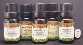 Ontspannende Olie 5x10ml Etherische Olie Set - Lavendelolie 10ml, Geraniumolie 10ml, Kamperfoelie olie 10ml, Sinaasappelolie 10ml en Basilicumolie 10ml - Essentiële Olie Set Ontspannende Olie 5x10ml Etherische Olie Set - Lavendelolie 10ml, Geraniumolie 10ml, Kamperfoelie olie 10ml, Sinaasappelolie 10ml en Basilicumolie 10ml - Essentiële Olie Set