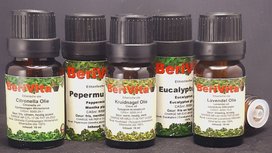 Insecten Afwerende Olie 5x10ml Etherische Olie Set - Citronella Olie 10ml, Eucalyptusolie 10ml, Kruidnagelolie 10ml, Pepermuntolie 10ml en Lavendelolie 10ml - Essentiële Olie Set Insecten Afwerende Olie 5x10ml Etherische Olie Set - Citronella Olie 10ml, Eucalyptusolie 10ml, Kruidnagelolie 10ml, Pepermuntolie 10ml en Lavendelolie 10ml - Essentiële Olie Set