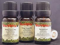 Haren Olie 3x10ml Etherische Olie Set - Sandelhoutolie 10ml, Rozemarijnolie 10ml en Ylang Ylang Olie 10ml - Essentiële Olie Set Haren Olie 3x10ml Etherische Olie Set - Sandelhoutolie 10ml, Rozemarijnolie 10ml en Ylang Ylang Olie 10ml - Essentiële Olie Set