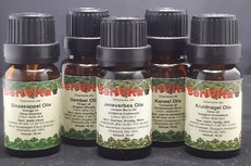 Winter Warmte Olie 5x10ml Etherische Olie Set - Kaneelolie 10ml, Jeneverbesolie 10ml, Kruidnagelolie 10ml, Sinaasappelolie 10ml en Gemberolie 10ml - Essentiële Olie Set Winter Warmte Olie 5x10ml Etherische Olie Set - Kaneelolie 10ml, Jeneverbesolie 10ml, Kruidnagelolie 10ml, Sinaasappelolie 10ml en Gemberolie 10ml - Essentiële Olie Set