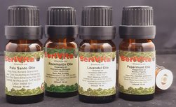 Yoga Olie 4x10ml Etherische Olie Set - Palo Santo Olie 10ml, Lavendelolie 10ml, Pepermuntolie 10ml, Rozemarijnolie 10ml - Essentiële Aroma Yoga Olie Yoga Olie 4x10ml Etherische Olie Set - Palo Santo Olie 10ml, Lavendelolie 10ml, Pepermuntolie 10ml, Rozemarijnolie 10ml - Essentiële Aroma Yoga Olie