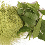 Neem Poeder 100% Zuiver 1kg - Gemalen Neemblad van Neemboom Neem Poeder 100% Zuiver 1kg - Gemalen Neemblad van Neemboom