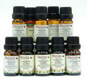 Set 12x10ml Etherische Oliën - 100% Zuiver en Puur Essentiële Oliën Set Set 12x10ml Etherische Oliën - 100% Zuiver en Puur Essentiële Oliën Set