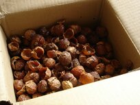 Wasnoten 5kg - Los in Doos met Waszakje - Bulk Wasnoten 5kg - Los in Doos met Waszakje - Bulk